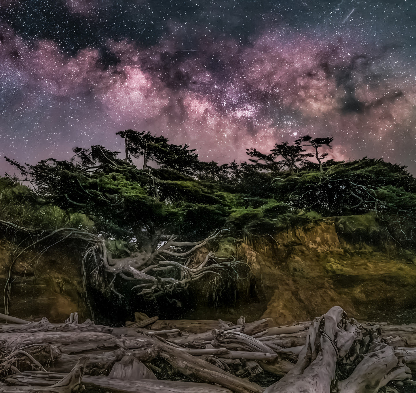 Tree of life Milkyway