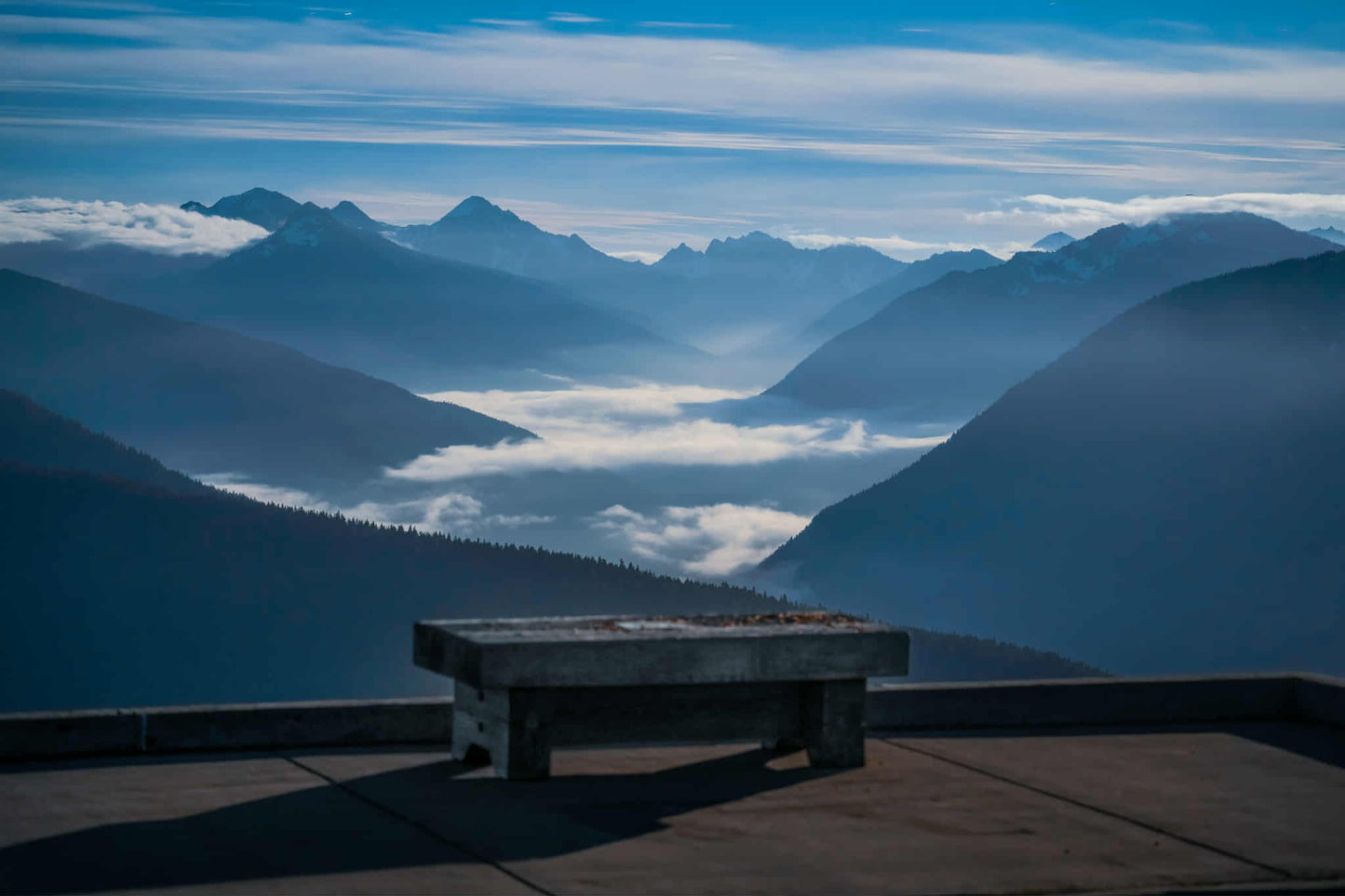 Hurricane ridge moonlight