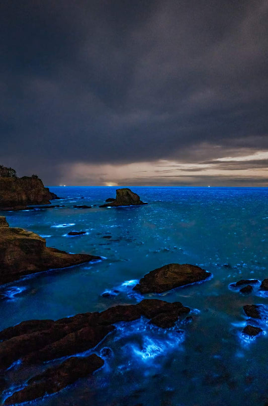 Bioluminescence rain