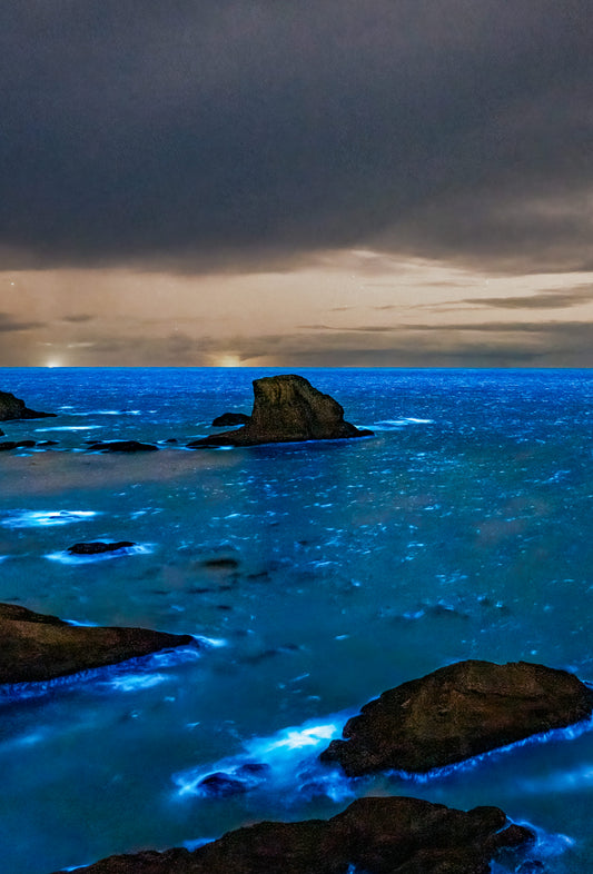 Bright Bioluminescence